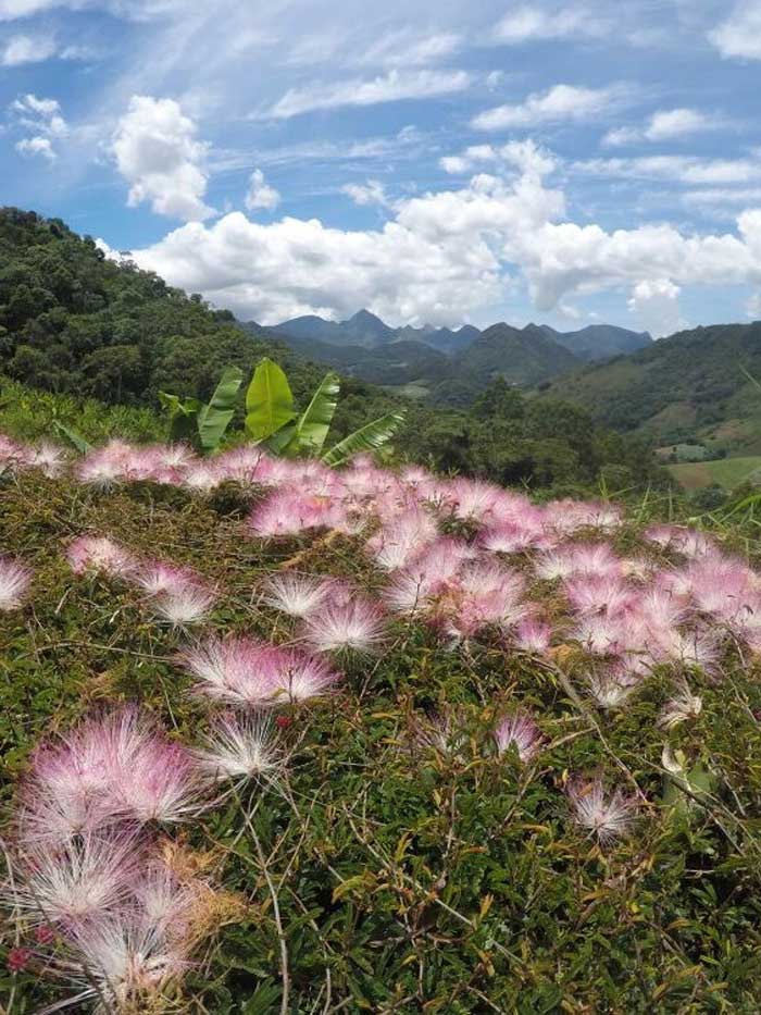 Curtindo a Natureza – de 20 a 22