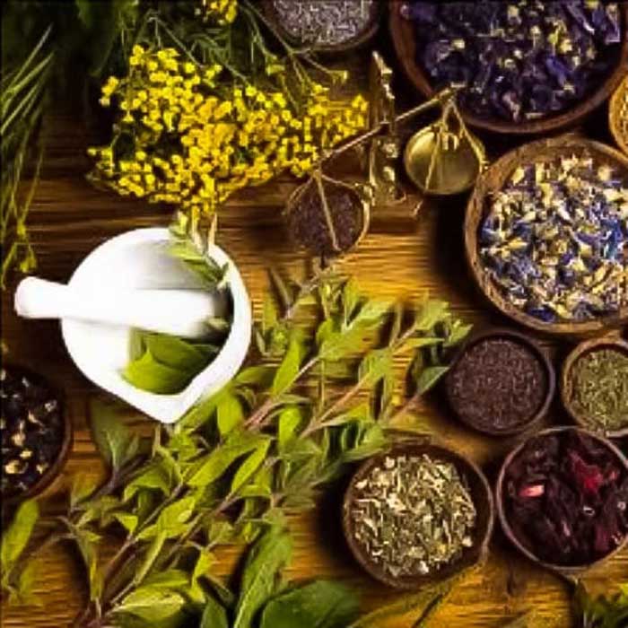 Ayurveda, infusões e ervas que curam - de 22 a 24/07 de 2022