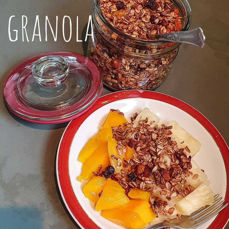 granola-01-capa